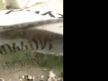 Chaturbate Live Porn of airbornx2n1