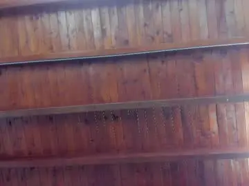 Chaturbate Adult Webcam of james_06_