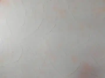 Chaturbate Adult Webcam of im_felixhunter