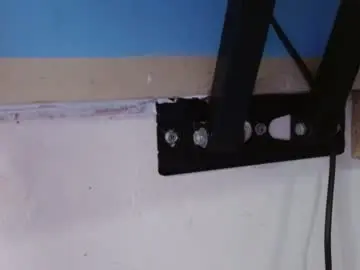 Chaturbate Live Sex Cam of pamela_adlon