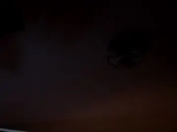 Chaturbate Nude Webcam of bridgetbottrell