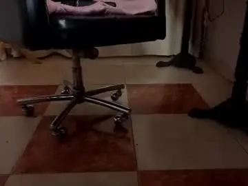 Chaturbate Free Live Porn of pamela_johnsonn