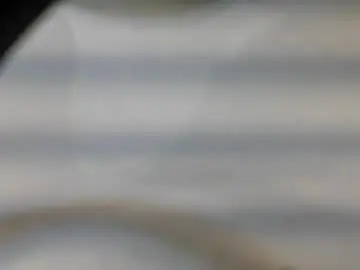 Chaturbate Private Sex Chat of tsbellaflor