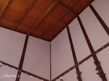 Chaturbate Free Live Porn of brie_cheese1