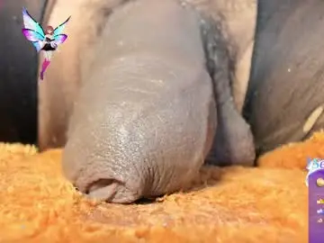 Chaturbate Live Sex of charlotte_laurent1