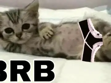 Chaturbate Free Porn Cam of _meowmiko__