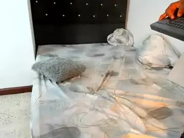 Chaturbate Sex Chat of alid_17