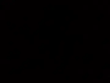 Chaturbate Sex Cam of blackcock8383