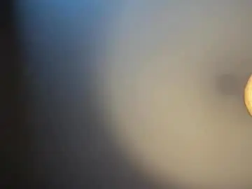 Chaturbate Adult Webcam of roughridingchef