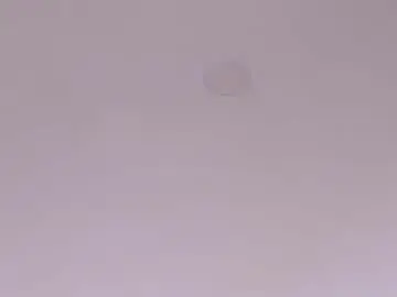 Chaturbate Best live sex cam show of zoeprestonn