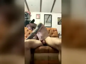 Chaturbate Live Porn of panthers_room