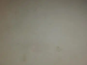 Chaturbate Live Sex Cam of glamslut8