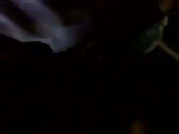 Chaturbate Nude Webcam of transcendental_tara