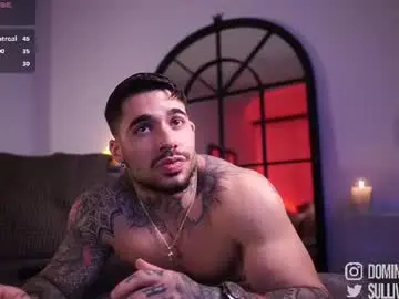 Chaturbate Nude Webcam of dominic_sullivan1