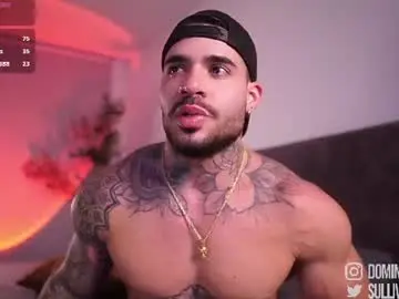 Chaturbate Nude Webcam of dominic_sullivan1
