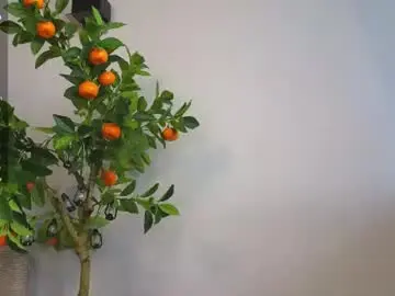 Chaturbate Live Sex Cam of sinfulfairy