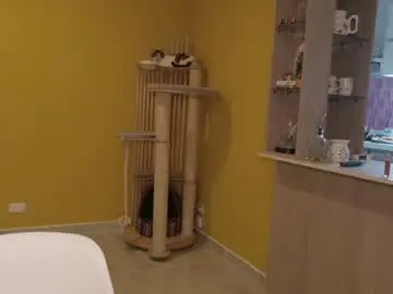Chaturbate Live Sex of vanlet