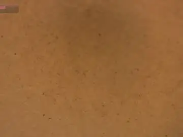 Chaturbate Free Live Porn of livestream18x