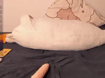 Chaturbate Sex Chat of neiljungg