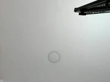 Chaturbate Sex Chat of sarita_loven