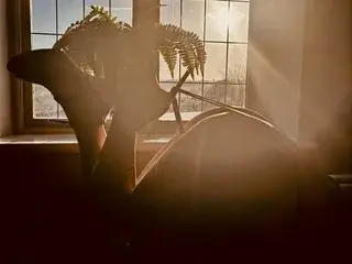 Streamate Nude Webcam of KatieCarterX
