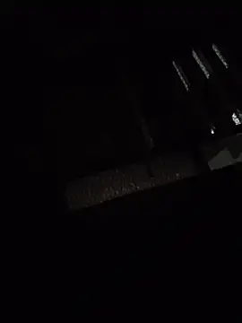 Stripchat Adult Webcam of tripexnte