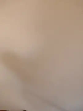 Stripchat Watch Live Sex Cams of Eva_brunete1