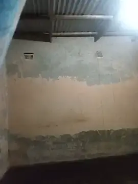 Stripchat Free Live Porn of WiseDi