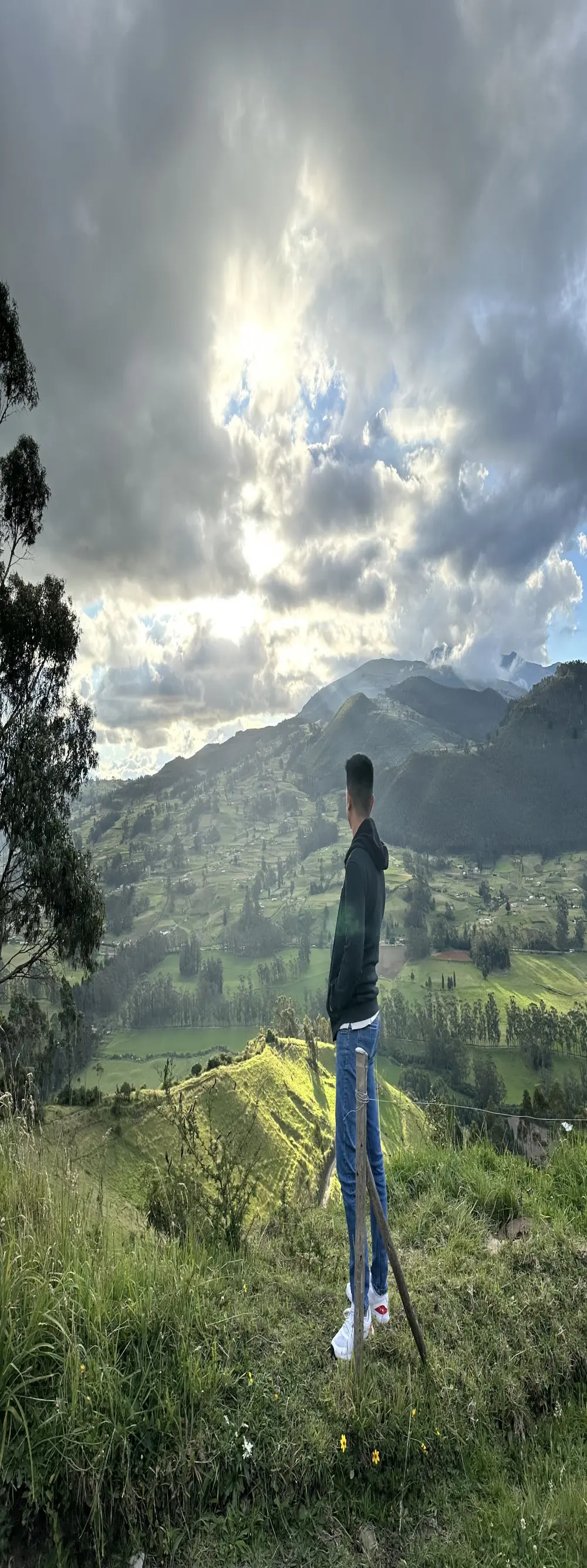 latincock365
