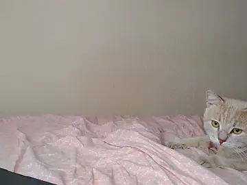 Stripchat Watch Live Sex Cams of Just_alice