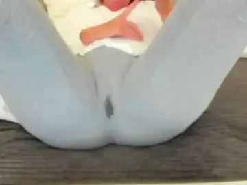 Stripchat Live Sex of meryamvip