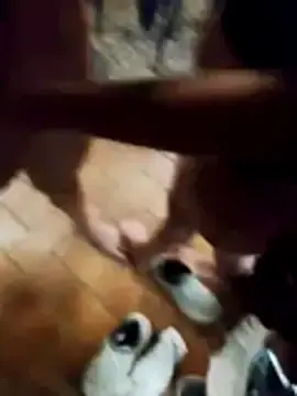 Stripchat Adult Webcam of LUDIMILLATOYS