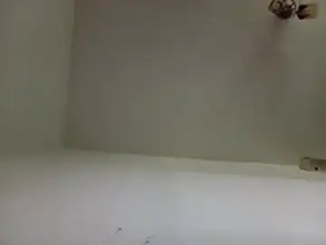 Stripchat Best Webcam of Ingeriubit