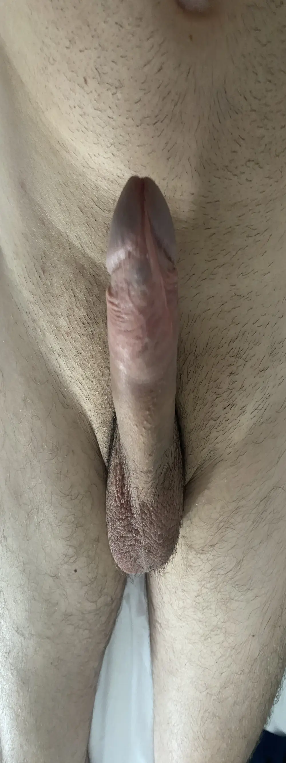 pasiuni