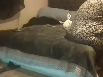 Stripchat Watch Live Sex Cams of 1n0nlythroat