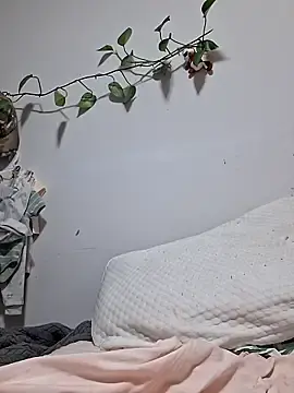 Stripchat Adult Webcam of UsaGuy76