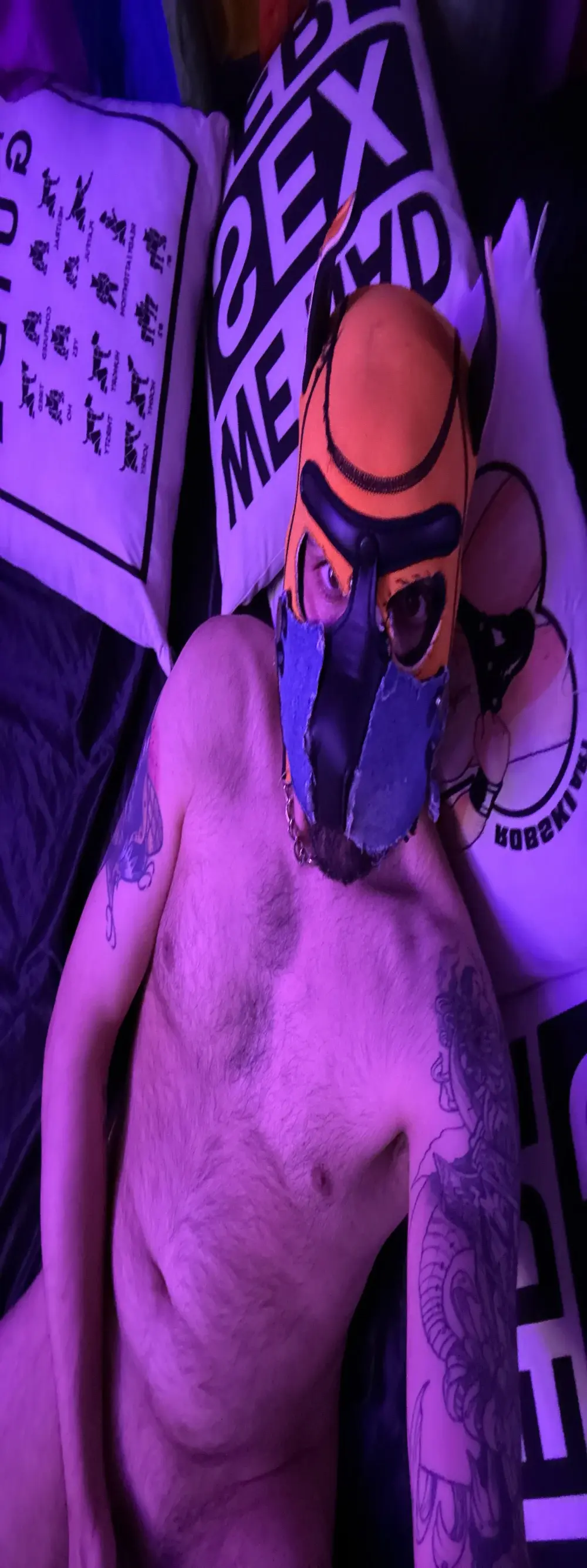 danix_wild_wolf
