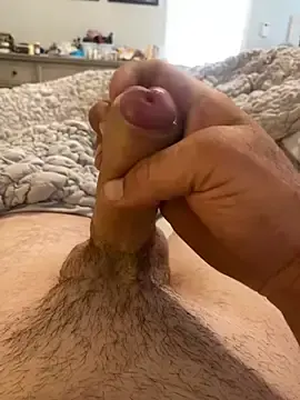 Stripchat Live Sex of toyotagts