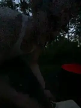 Stripchat Live Porn of teninchty