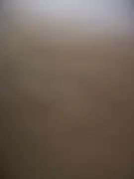 Stripchat Sex Chat of sammyqueenx21