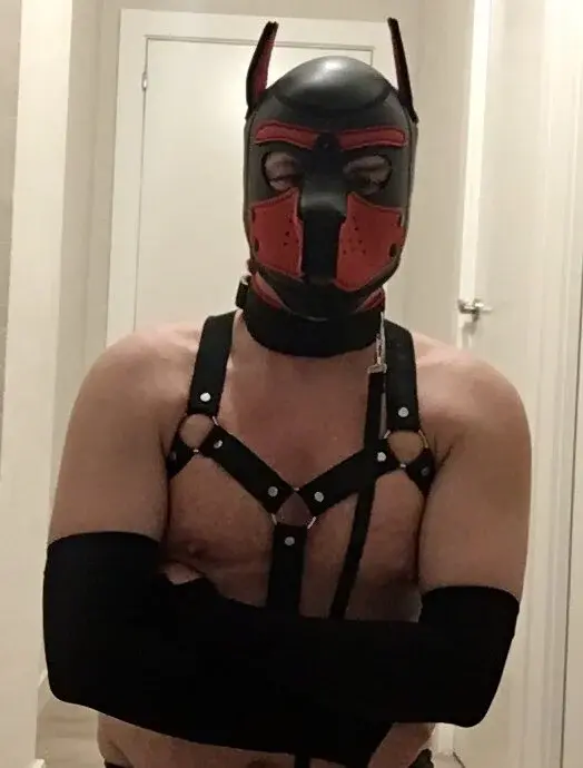 Maskpor2022