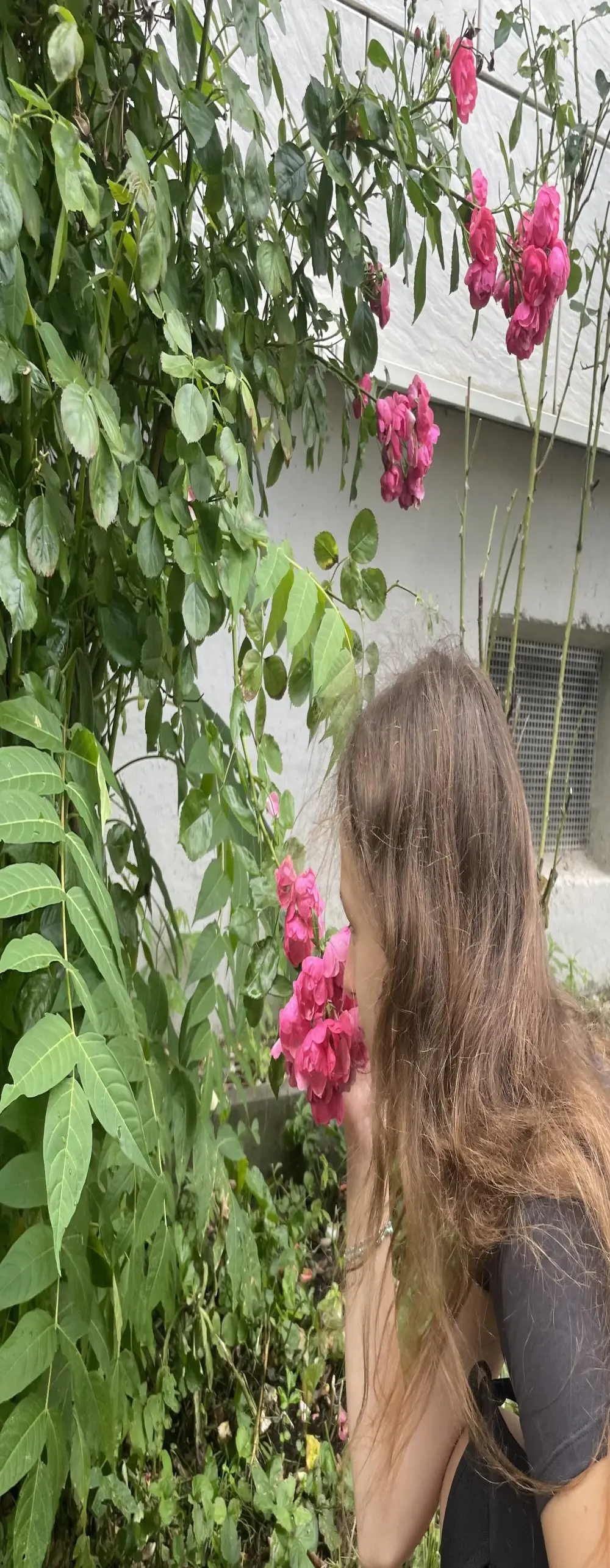 Eva_Angel3