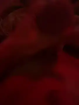 Stripchat Live Porn of king-arabi