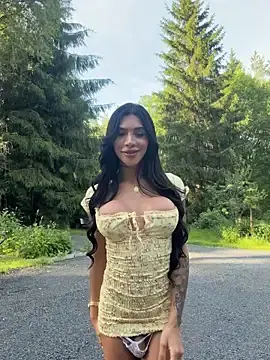 Stripchat Best Webcam of divavirtual11