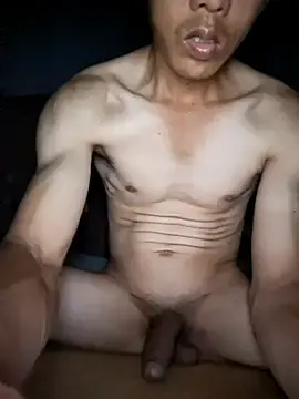 Stripchat Sex Cam of hoang1209
