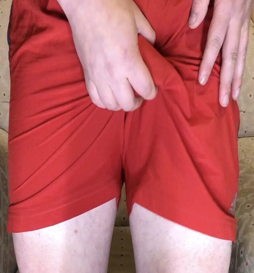 alecsgzz