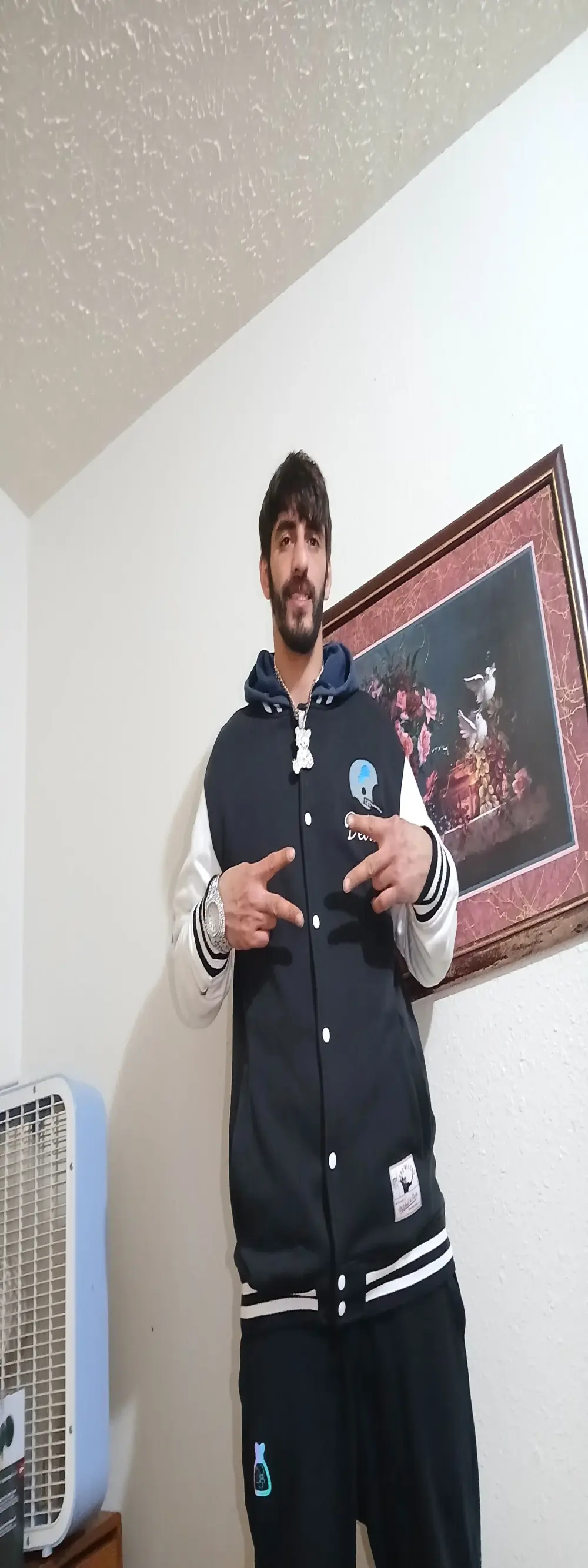 lowhangingdick22