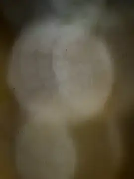 Stripchat Best live sex cam show of IrisBlacky