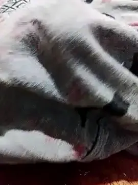 Stripchat Live Sex of srisri2004