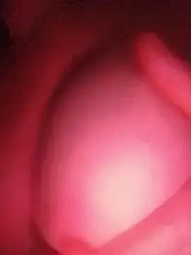 Stripchat Adult Webcam of Hottiesophie